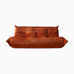 Ligne Roset Online Shop | Buy Vintage Furniture at PAMONO