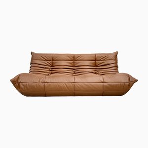 Ligne Roset Online Shop | Buy Vintage Furniture at PAMONO