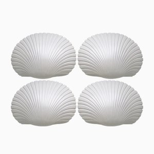 Mid-Century Shell Wall Sconces by André Cazenave, 1968, Set of 4