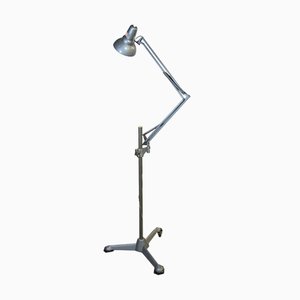 Lámpara de pie Anglepoise vintage con rueditas de ASEA, años 50