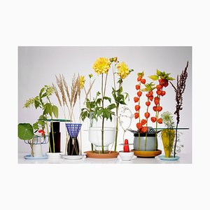 Hidden Vase Fotodruck von Chris Kabel