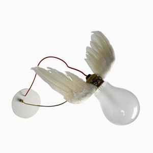 Lucellino Wall Light by Ingo Maurer for Design M, 1990s