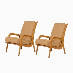 Easy Chairs by Cees Braakman for Pastoe, 1950s, Set of 2