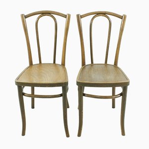 Bentwood Chairs, 1920s, Set of 2