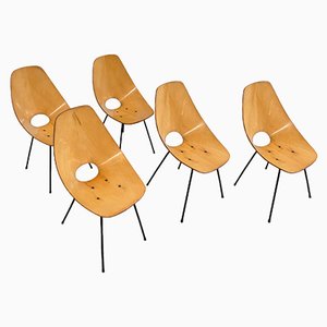 Medea Chairs by Vittorio Nobili for F.lli Tagliabue, 1950s, Set of 5