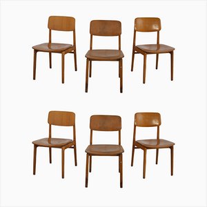 Chairs in Maple for Sip, 1960s, Set of 6