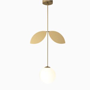 Plant Pendant by Atelier Areti