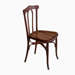 Antiker Stuhl aus Bugholz von L. & H. Cambier Frères, 1900er