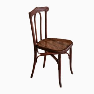 Antique Bentwood Chair by L. & H. Cambier Frères, 1900s