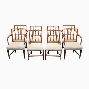 Design Esszimmerstühle online kaufen bei Pamono