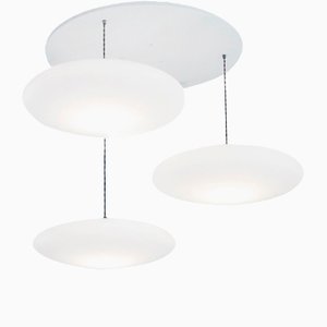 Ethel 3-Drop Suspension Lamp by One Foot Taller