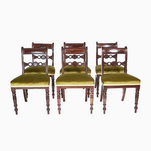 Design Esszimmerstühle online kaufen bei Pamono