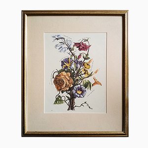 Antike italienische botanische Lithografie