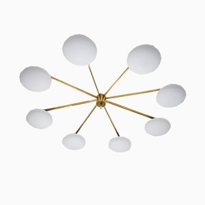 Brass & Opaline Glass Stella Canopy Chrome Lucif Ceiling or Wall Lamp from Design for Mach