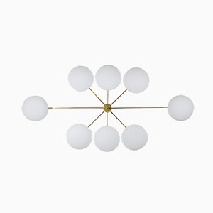 Brass & Opaline Glass Stella Evening Chrome Lucid Ceiling or Wall Lamp from Design for Macha