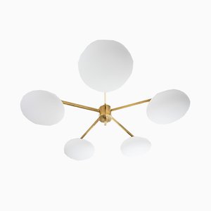 Brass & Opaline Glass Stella Daisy Chrome Lucid Ceiling or Wall Lamp from Design for Macha