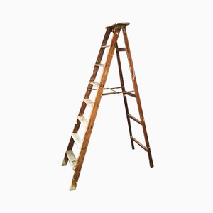 Wooden Foldable Painter's Ladder, 1960s