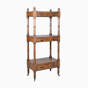 Antique Mahogany Display Stand, 1860s