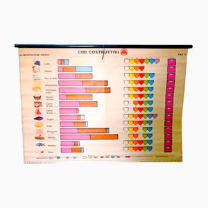 Vintage University Food Chart from Paravia, 1940s
