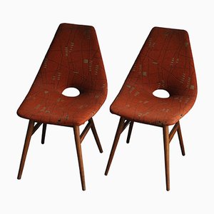 Set of Hungarian Erika Chairs by Judit Burián for SZKIV, 1959