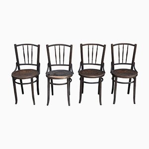 Chaises de Salon de Thonet, 1930s, Set de 4