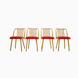 Chaises de Salon par Antonín Šuman, 1960s, Set de 4