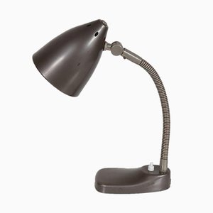 Dutch Desk Lamp from Hala, 1950s
