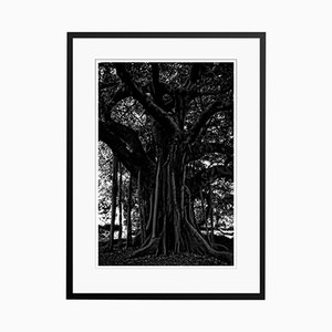 Black Tree Print by Stuart Möller