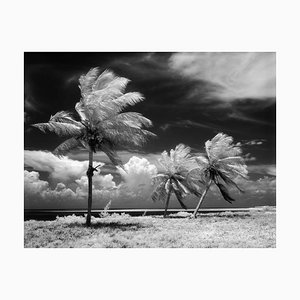 Póster Florida Keys de H. Armstrong Roberts-Alamy