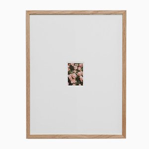 The Rose Garden Nº 21 Print by David Urbano, 2018