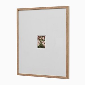 Impresión The Rose Garden nº 33 de David Urbano, 2018