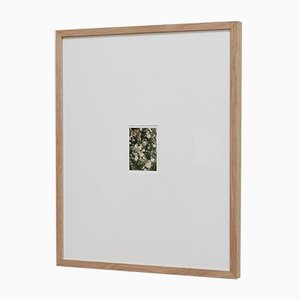 Rose Garden N° 44 Colour Photography di David Urbano