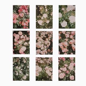 Impresiones The Rose Garden de David Urbano, 2018. Juego de 9