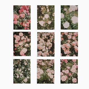 The Rose Garden Prints by David Urbano, 2018, Set of 9