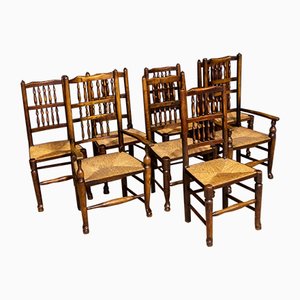 Design Esszimmerstühle online kaufen bei Pamono