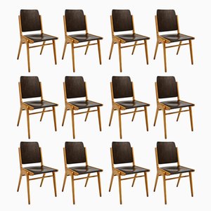 Mid-Century Beech and Plywood Dining Chairs by Franz Schuster for Wiesner-Hager, Set of 12