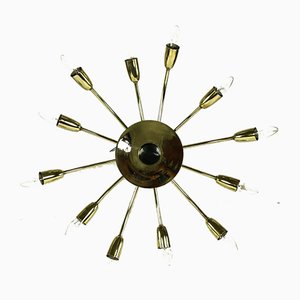 Mid-Century German Brass and Steel Ceiling Lamp, 1950s
