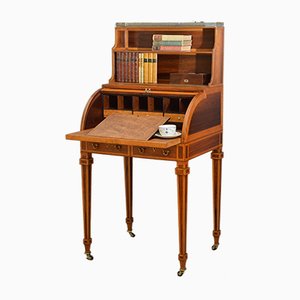 Bureau Cylindrique Sheraton Revival Antique en Palissandre