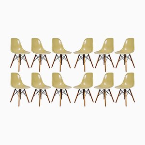 Design Esszimmerstühle online kaufen bei Pamono