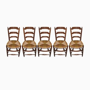 Antique Ash Dining Chairs, Set of 5