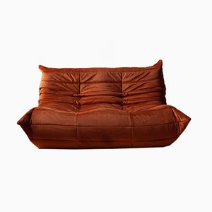 Vintage French Amber Velvet 2-Seater Sofa by Michel Ducaroy for Ligne Roset