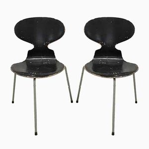 Sillas de comedor de Arne Jacobsen para Fritz Hansen, 1952. Juego de 2