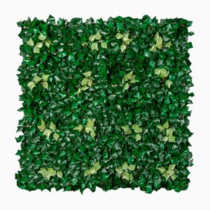 Modular Ivy Wall Vertical Garden Panel from VGnewtrend