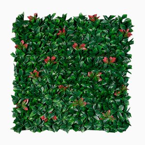 Modular Photinia Wall Vertical Garden Panel from VGnewtrend