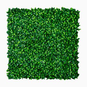 Modular Jasmine Wall Vertical Garden Panel from VGnewtrend