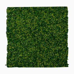 Modular Flat Boxwood Wall Vertical Garden Panel from VGnewtrend