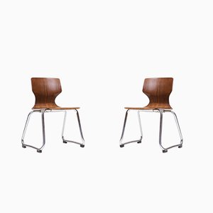 Set of Children's Chairs by Adam Stegner for Flötotto, 1970s