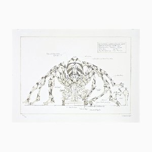 François DELAROZIERE - L'araignée géante, lithographie original signée et numérotée