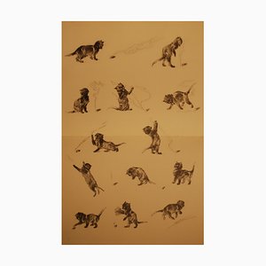 Chats Et Autres Bêtes 7 Lithograph by Théophile Alexandre Steinlen