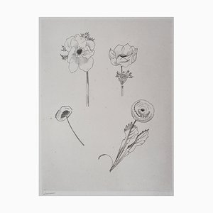 Gravure Etude de Fleurs par Jean-Emile Laboureur